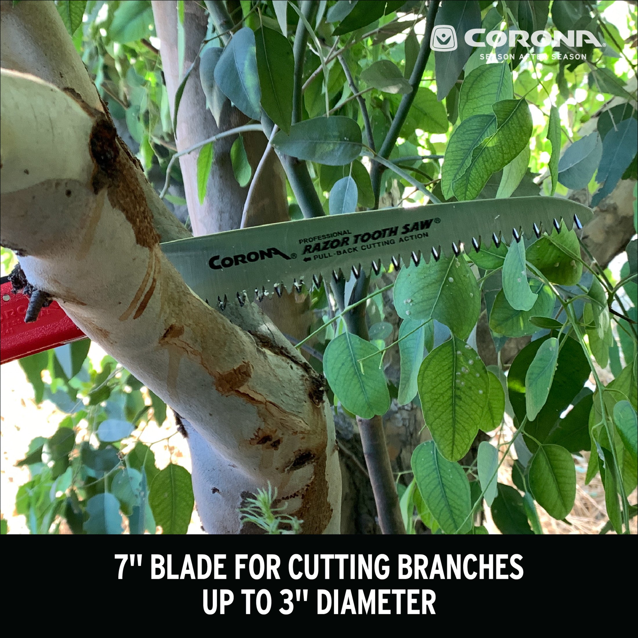 RazorTOOTH Saw® Arborist Folding Pruning Saw, 7 in. Blade