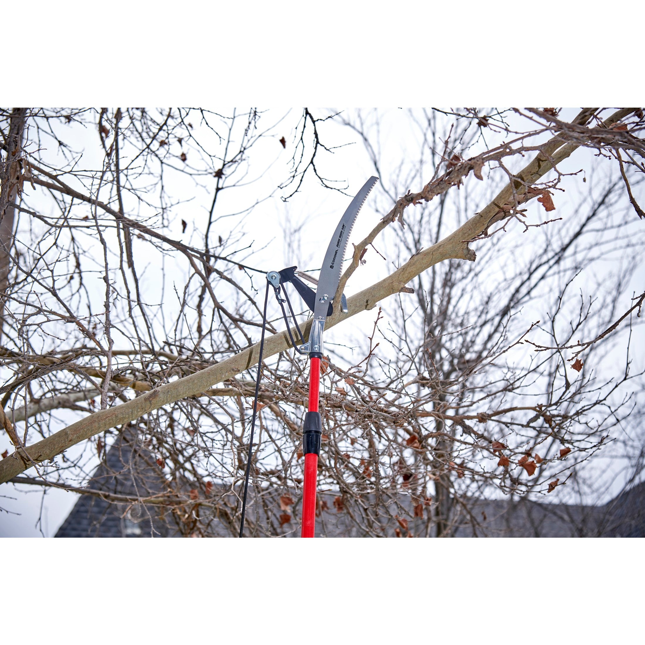 Dual Compound-Action Tree Pruner with RazorTOOTH Saw™ Blade, 12 ft.