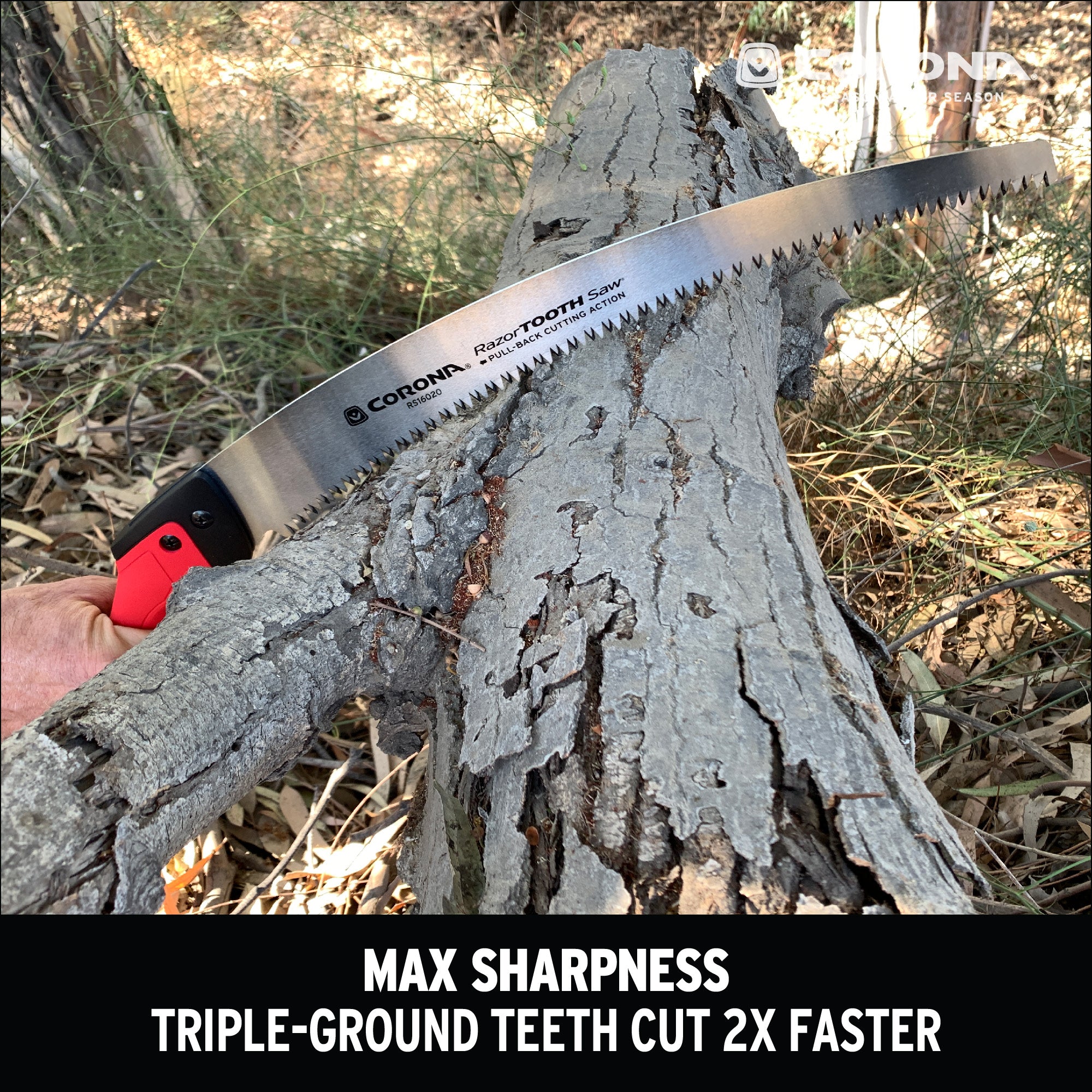 RazorTOOTH Saw® Pruning Saw, 14 in. Blade
