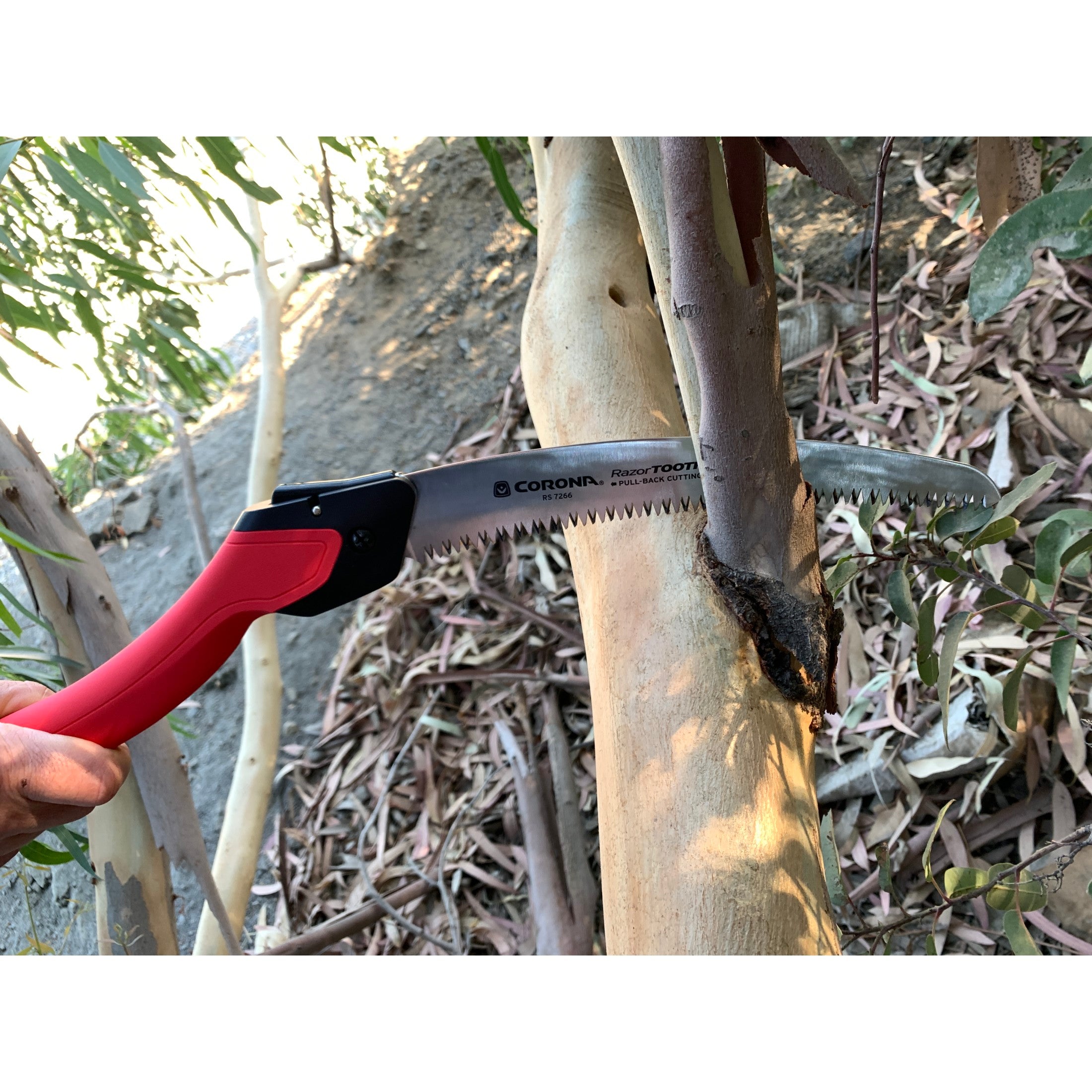 RazorTOOTH Saw™ Folding Pruning Saw, 10 in. Blade