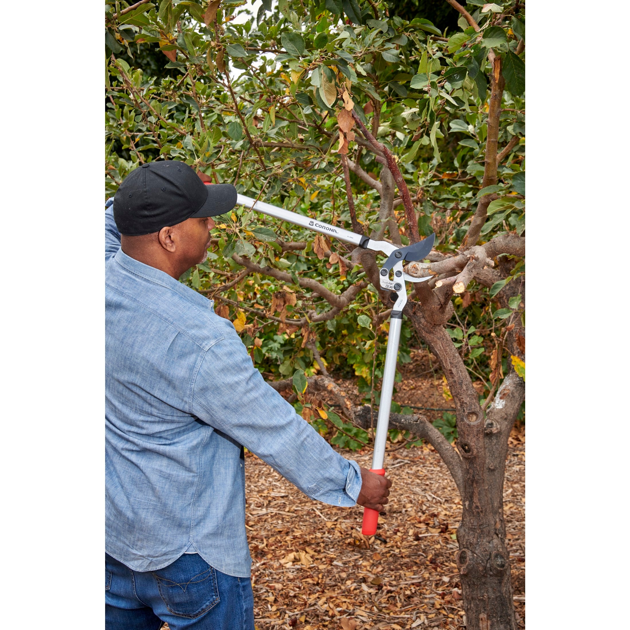 DualLINK Bypass Lopper, 1-3/4 in. Cut Capacity | Corona
