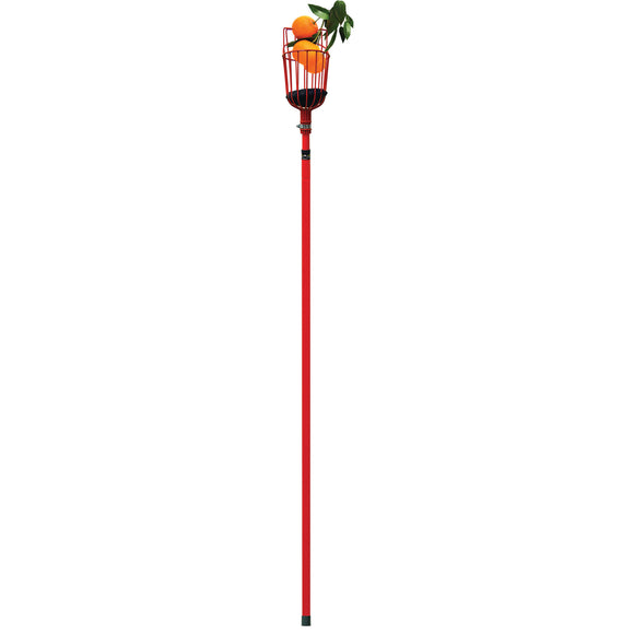Extendable Fruit Picker, 12 ft.