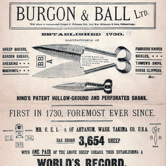 <h2><strong>1897</strong></h2><p>The company is now a substantial international company exporting to regions including South America, North America, Australia, the West Indies and New Zealand.</p>