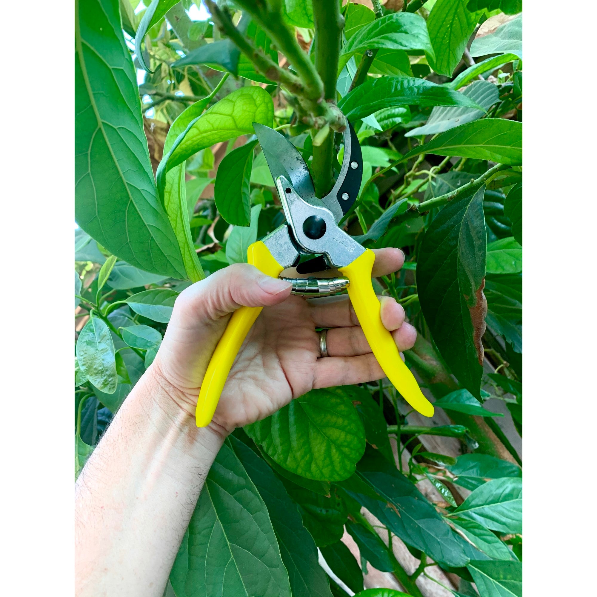 Florabrite™ Bypass Pruner, Neon Yellow, 1 in. Cut Capacity,