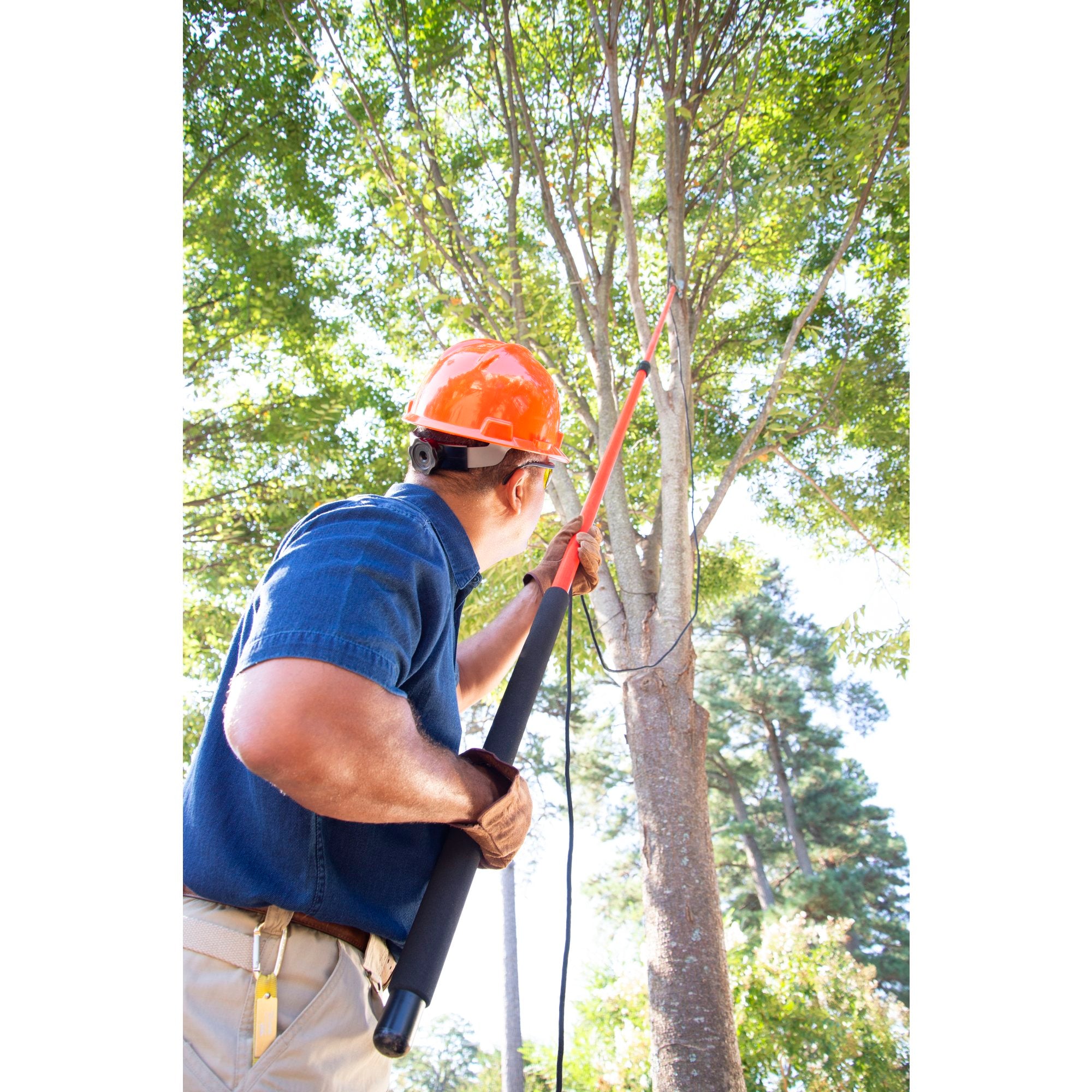 Professional Tree Pruner with RazorTOOTH Saw™ Blade, 16 ft. Pole