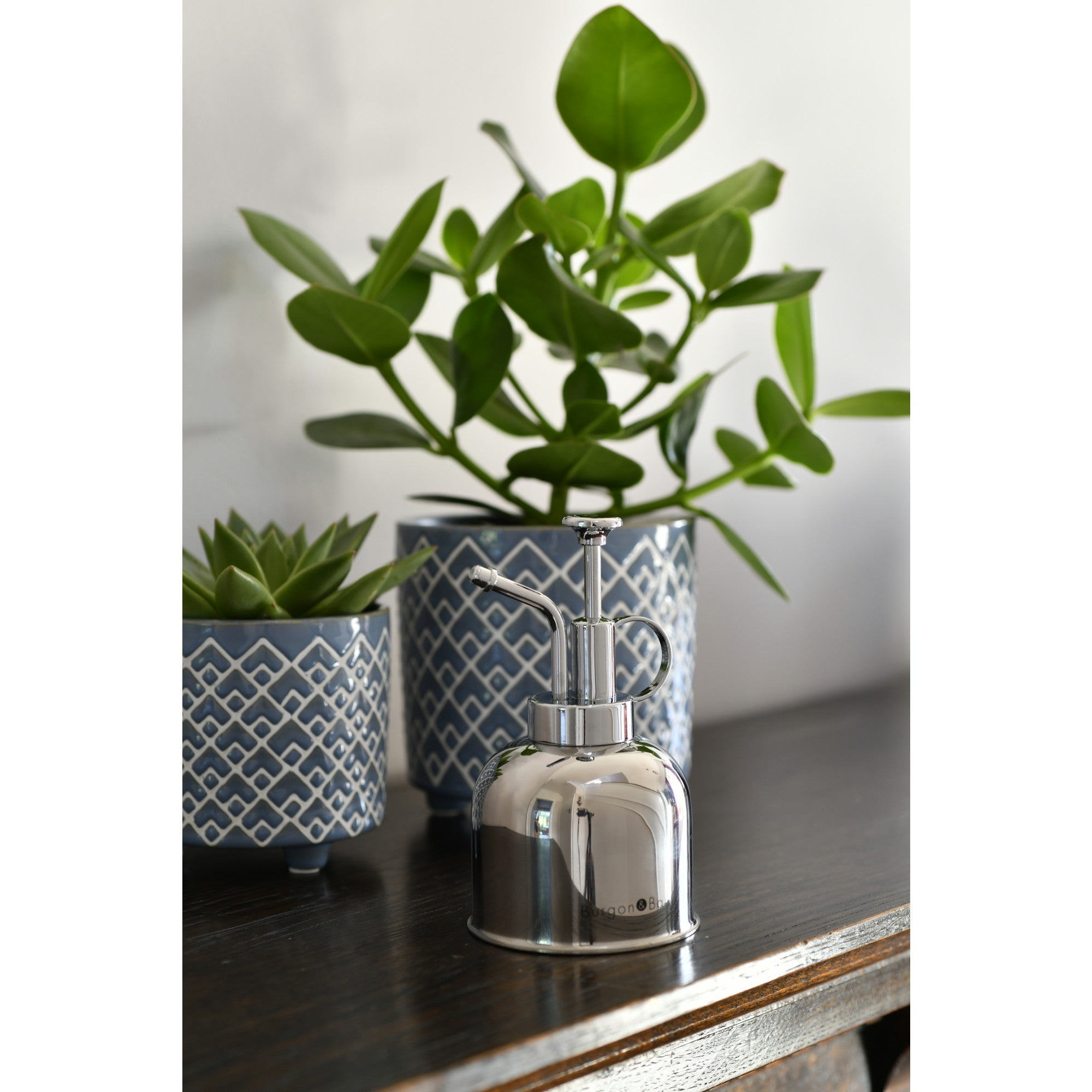 Indoor Plant Mister, Stainless Steel