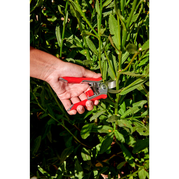 Yard Essentials Houseplant Pruners, Variety Pack