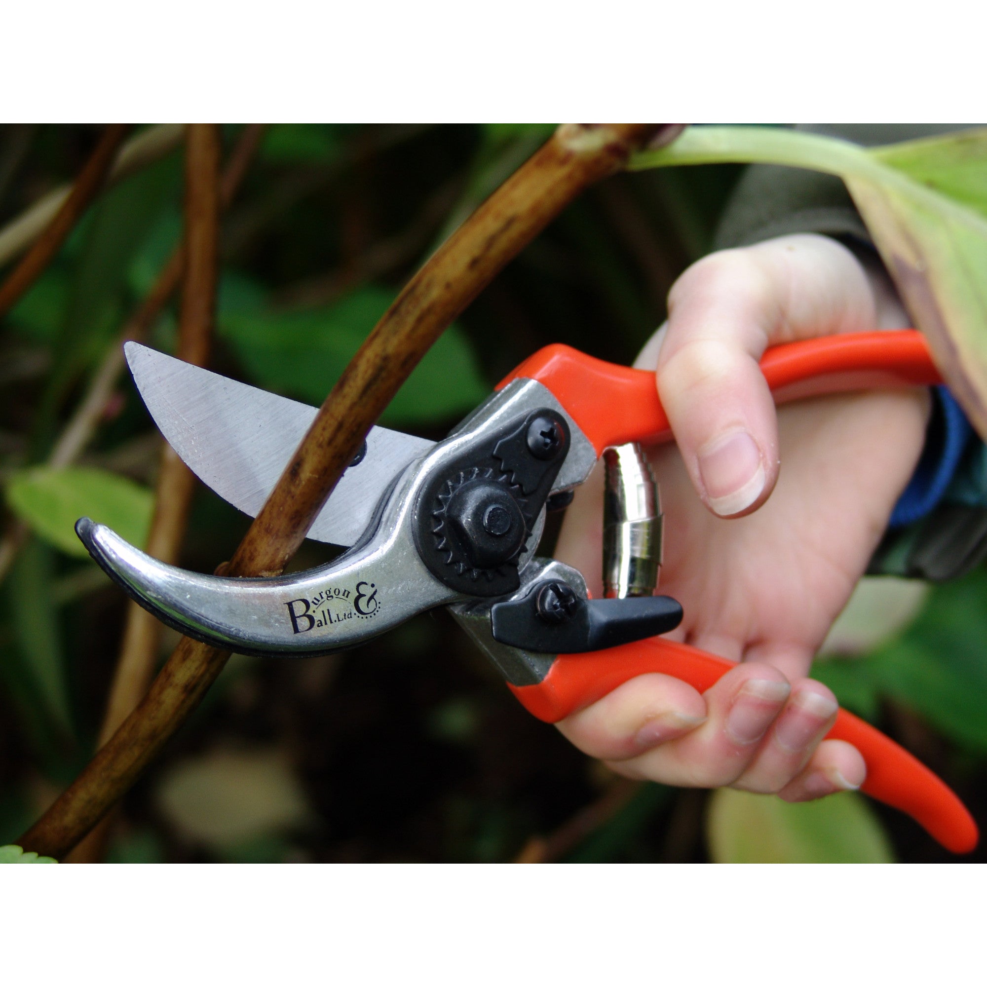 Bypass Pruner, with Replacement Blade & Spring, RHS Endorsed