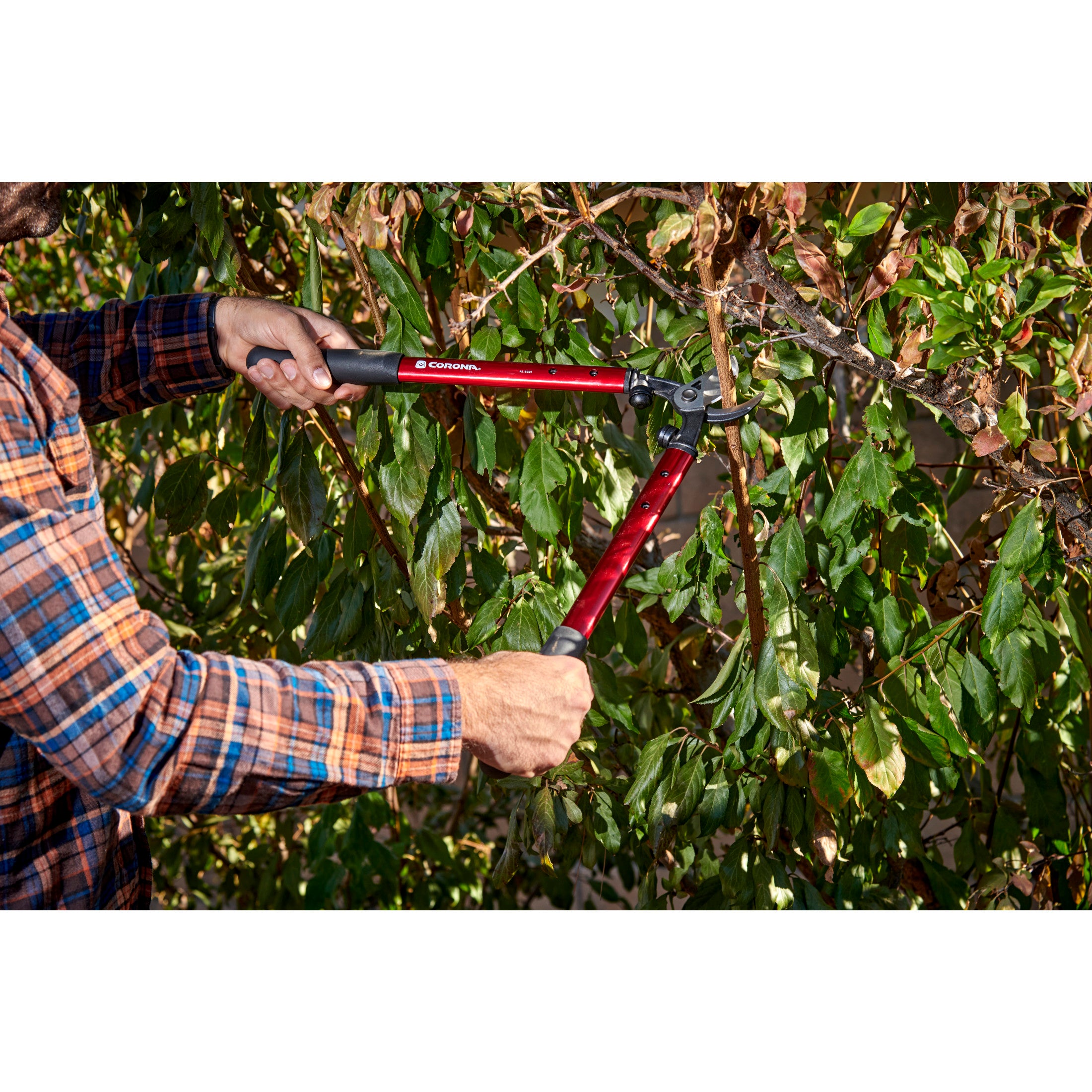 High-Performance Vine Lopper, 19 in. Handle, 1-1/4 in. Cut Capacity