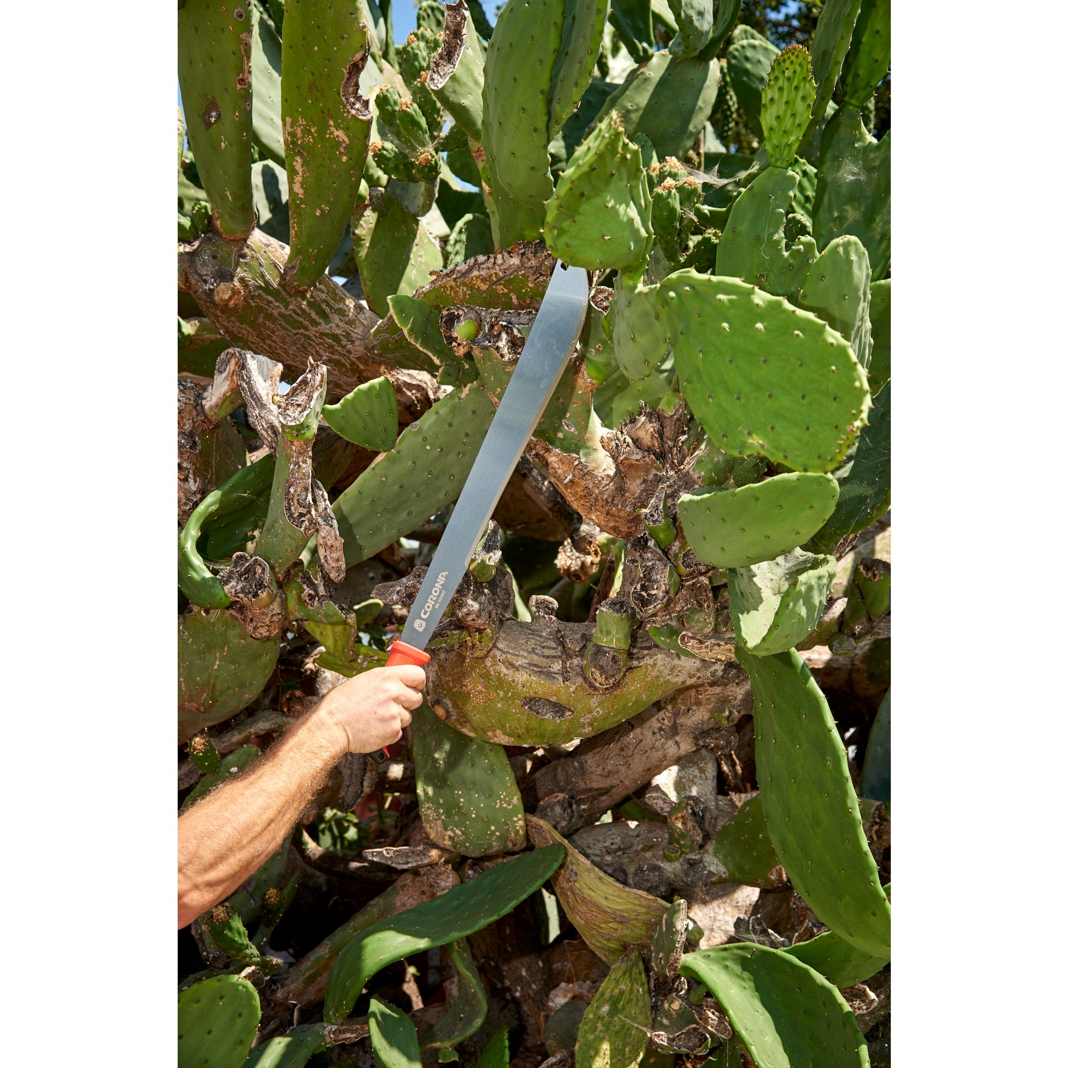 Machete, 18 in. Blade