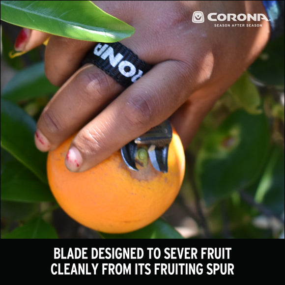 Orange and Apple Bypass Shears