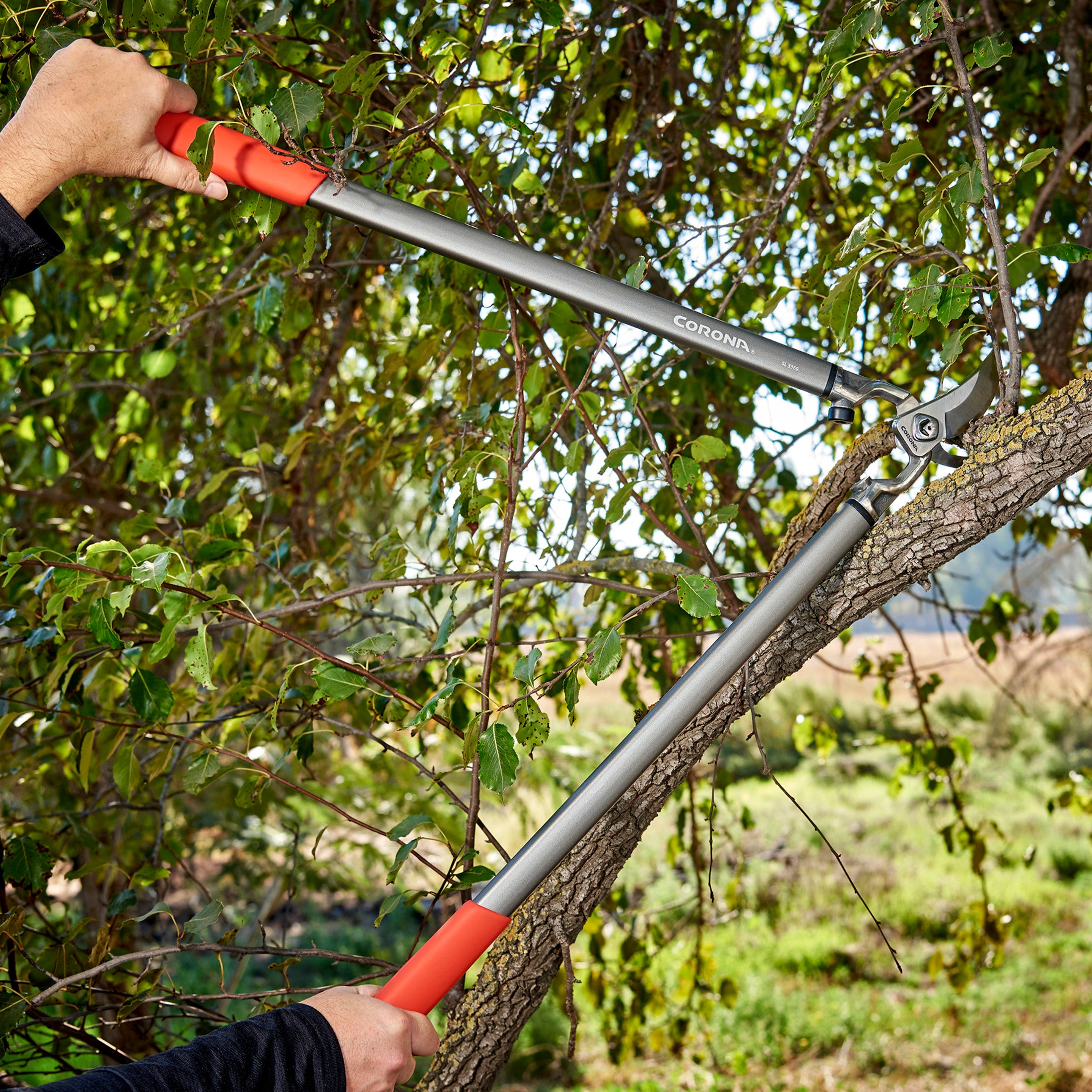 ClassicCUT® Bypass Lopper, 31 in., 1-3/4 in. Cut Capacity