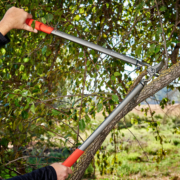 ClassicCUT® Bypass Lopper, 31 in., 1-3/4 in. Cut Capacity