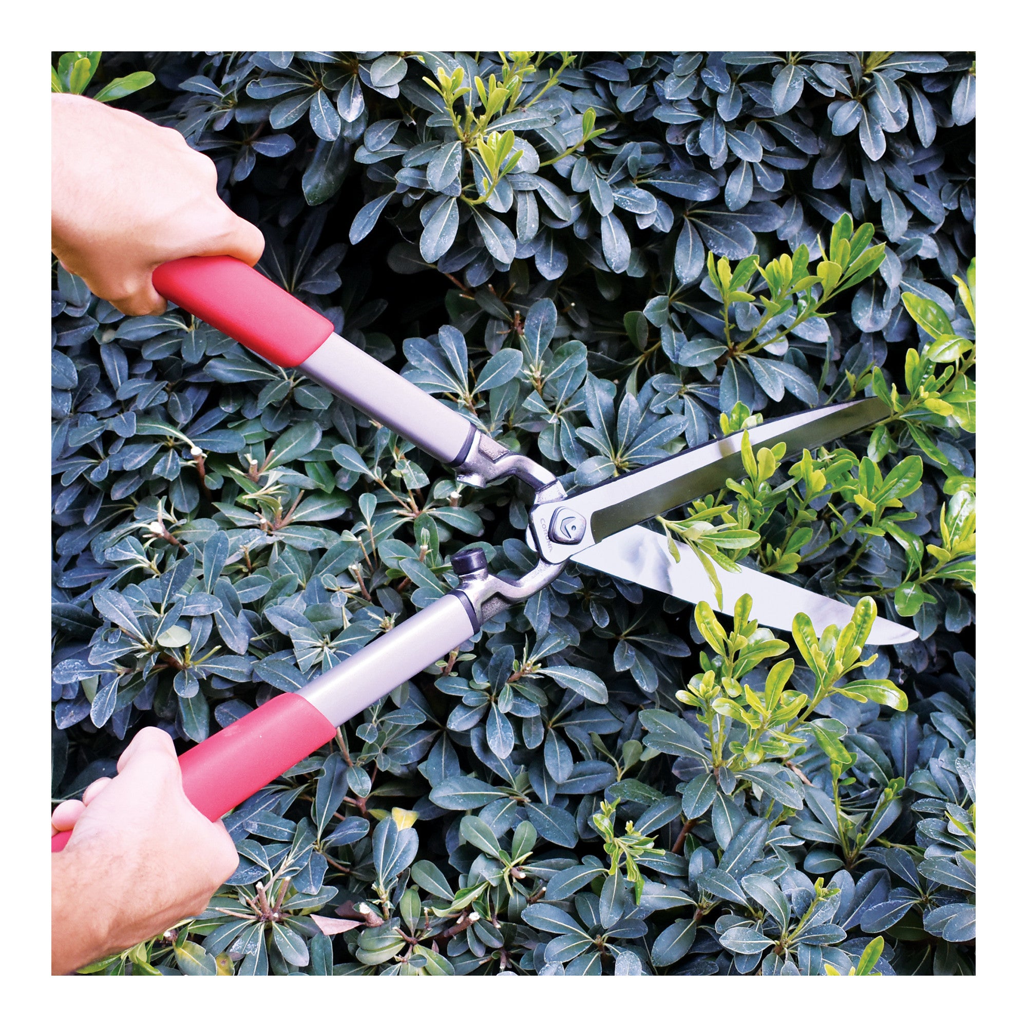 ClassicCUT® Hedge Shears, 10 in. Blades, 12-1/2 in. Handles