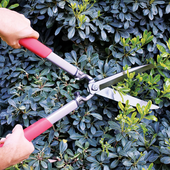 ClassicCUT® Hedge Shears, 10 in. Blades, 12-1/2 in. Handles