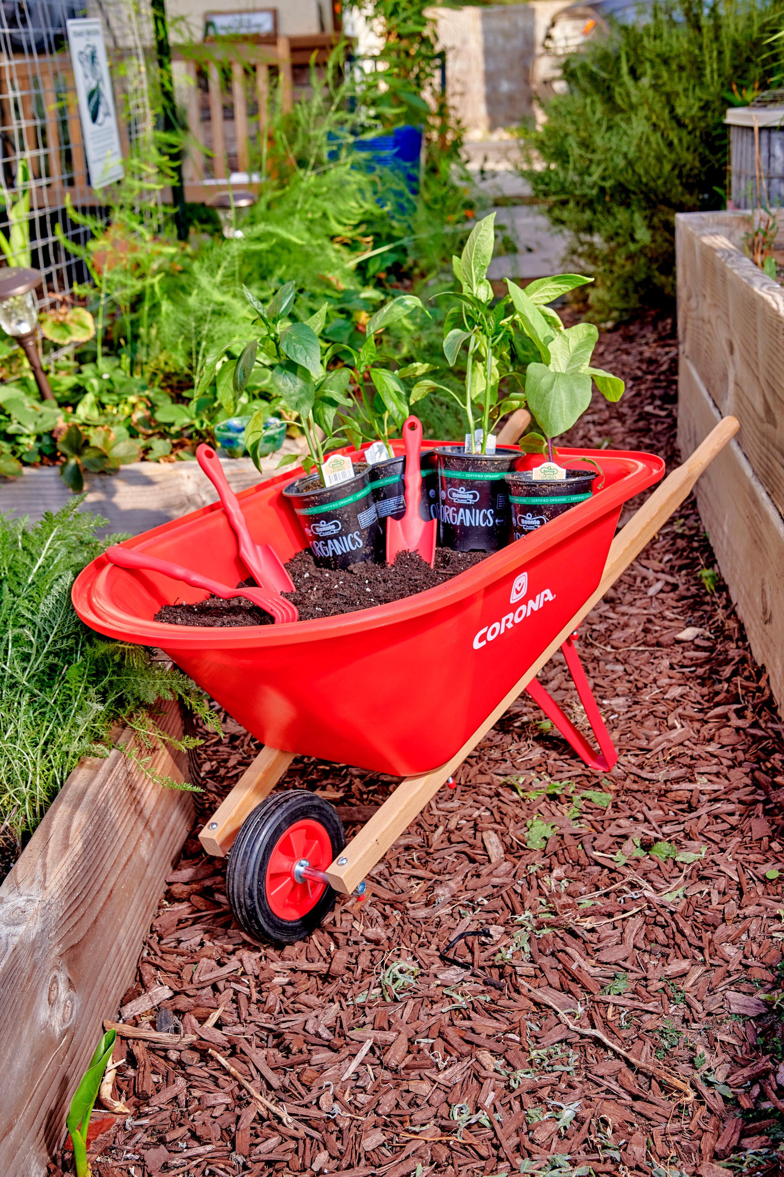 Kids Wheelbarrow