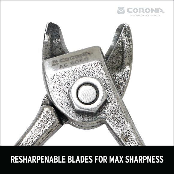 Orange and Apple Bypass Shears