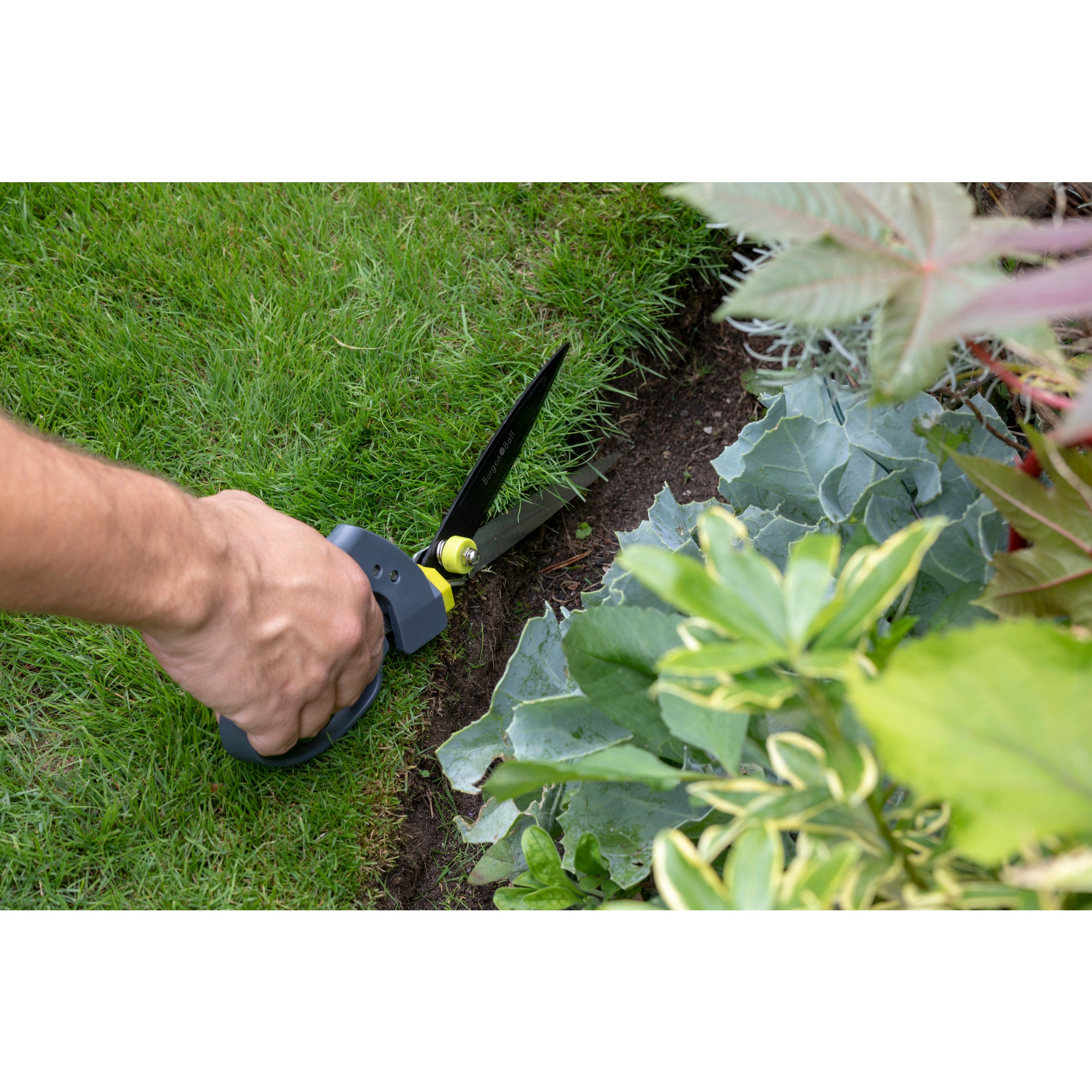 garden grass cutting scissors Swivel Grass Shears, RHS Endorsed