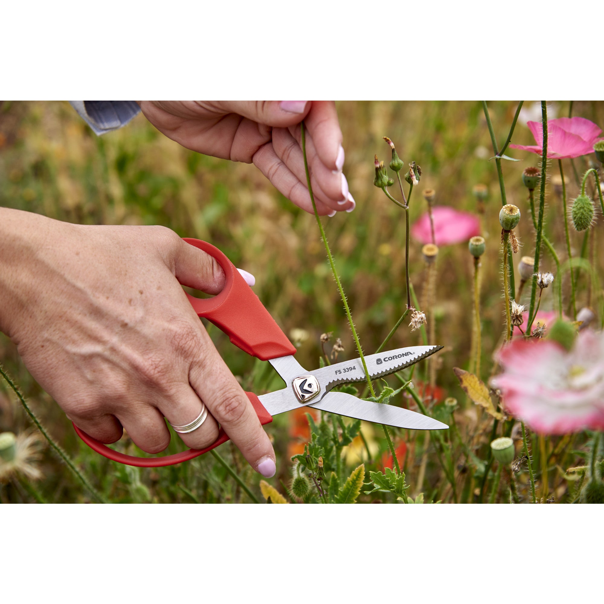 Flower, Branch & Stem 3-Pc. Set