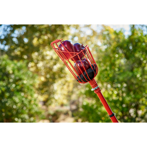 Extendable Fruit Picker, 12 ft.