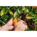 Orange and Apple Bypass Shears-6
