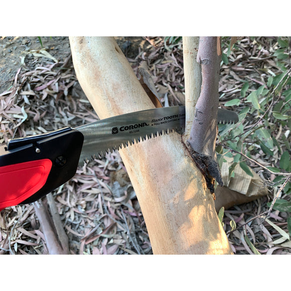 RazorTOOTH Saw® Folding Pruning Saw, 10 in. Blade