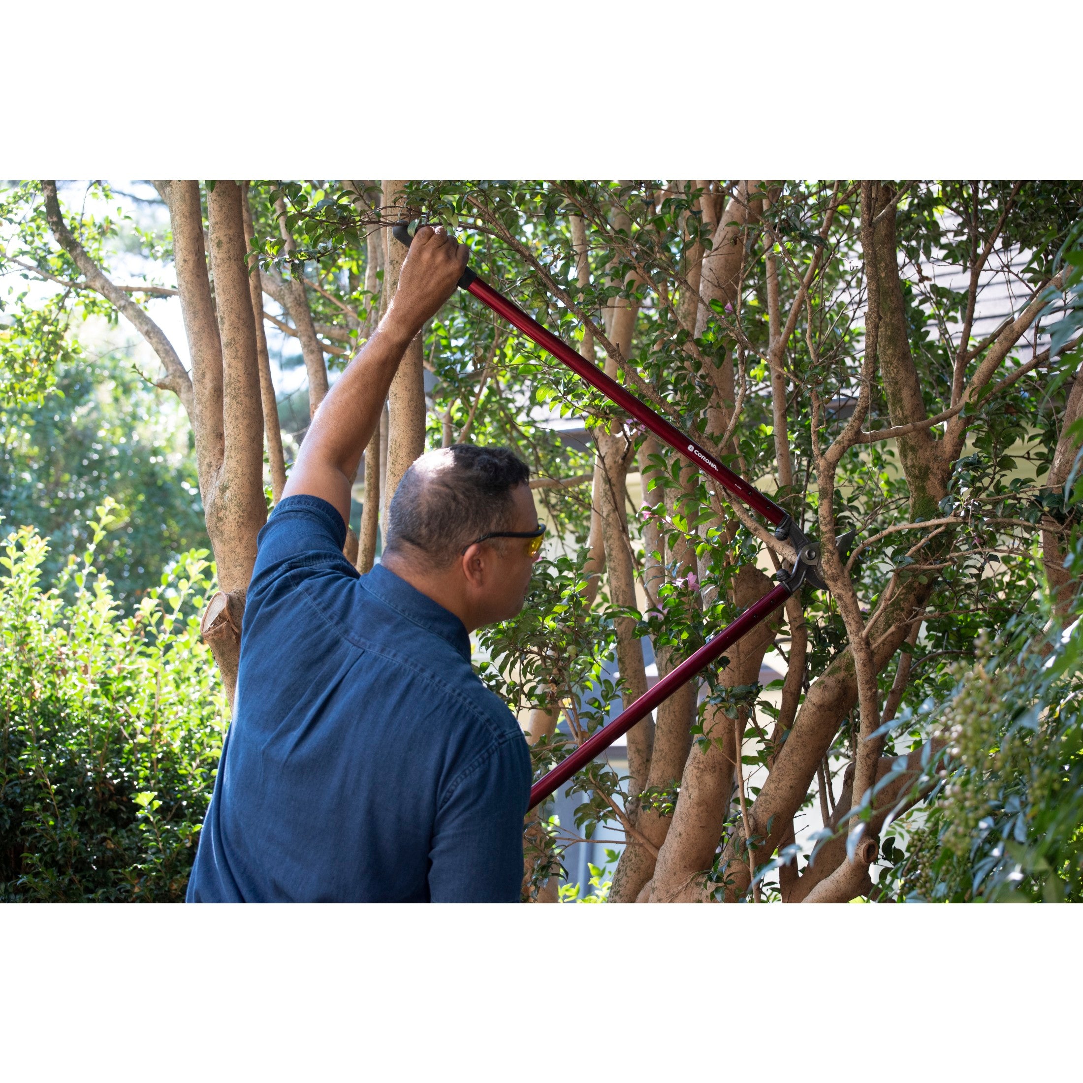 DualARC Orchard Lopper, 36 in., 2-1/4 in. Cut Capacity