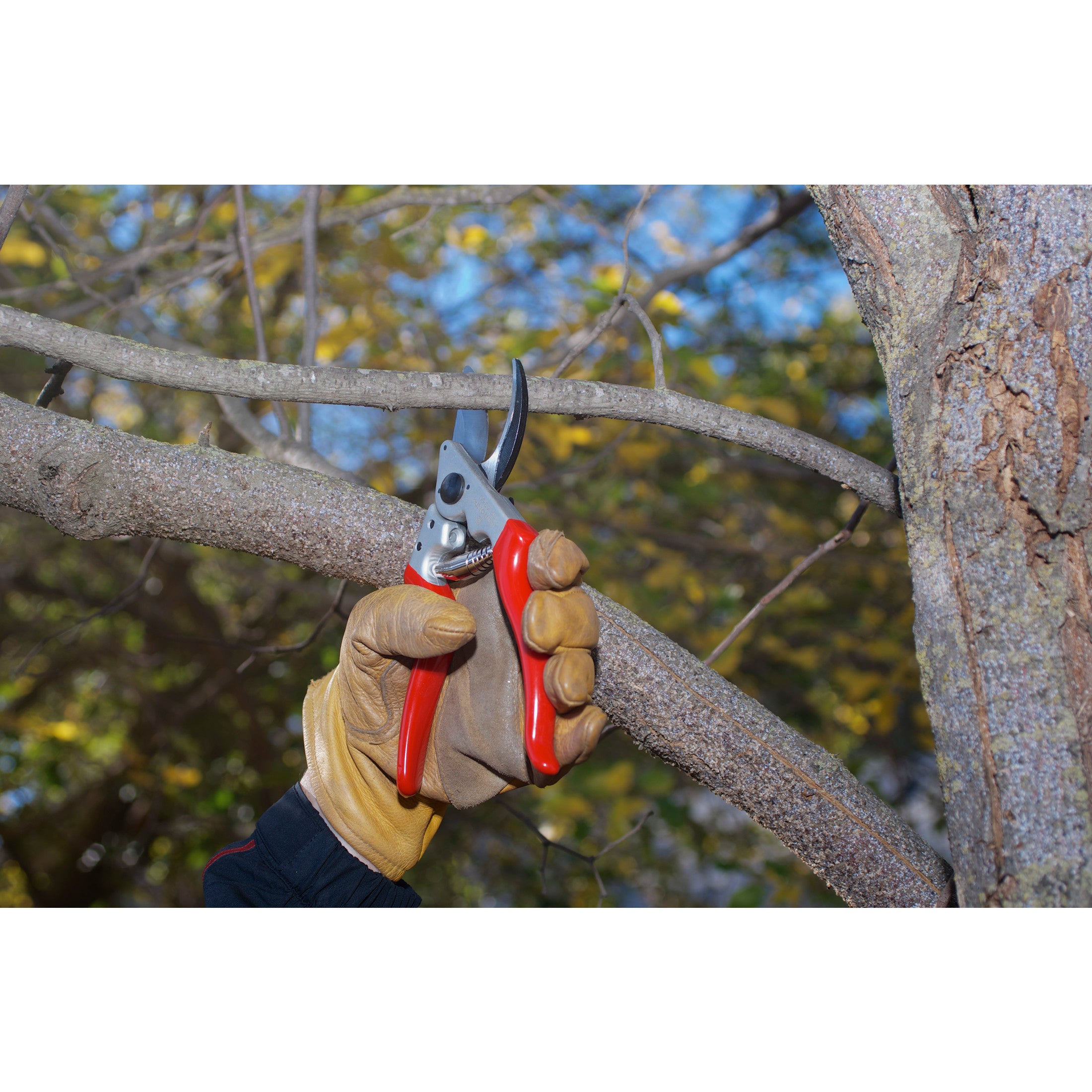 Aluminum Angled Bypass Pruner, 1 in. Cut Capacity