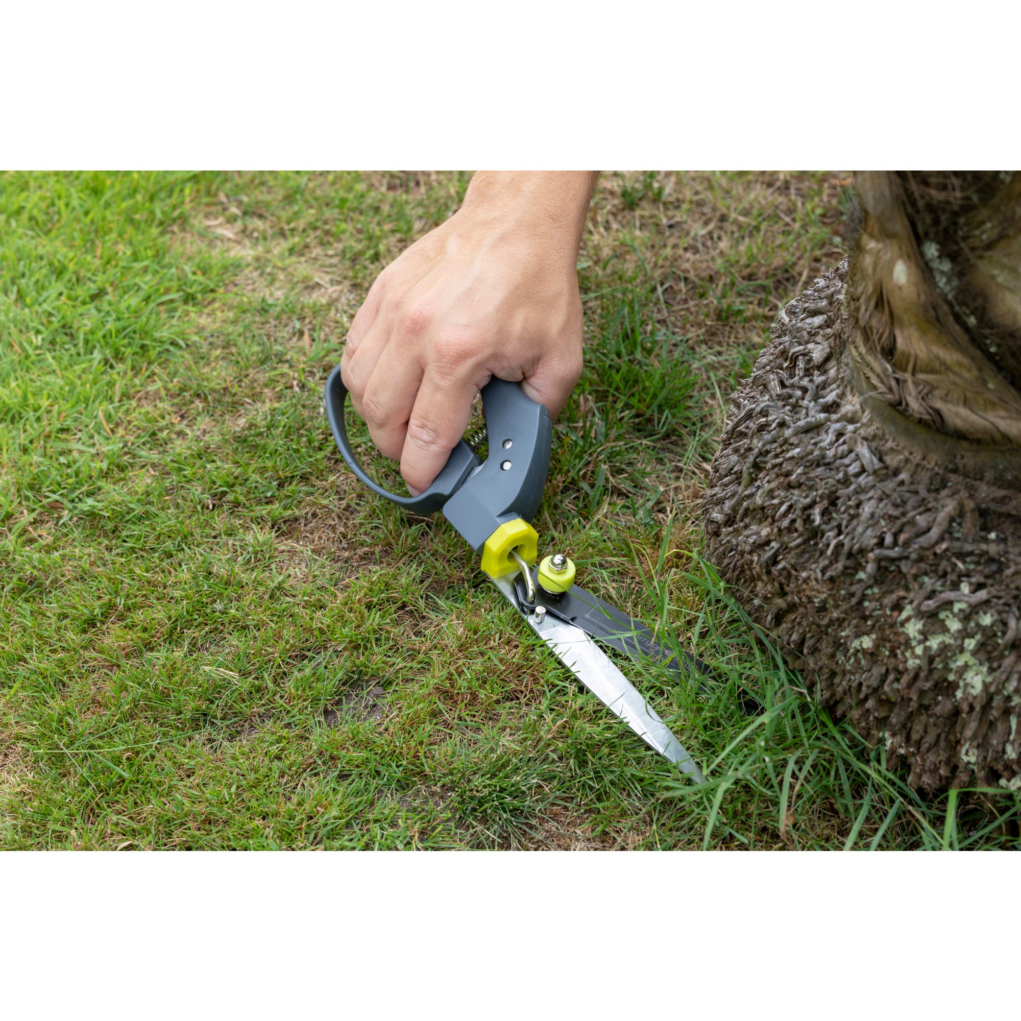 Swivel Grass Shears, RHS Endorsed