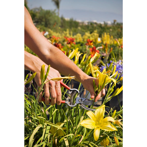 ClassicCUT® Bypass Pruner, 1 in. Cut Capacity