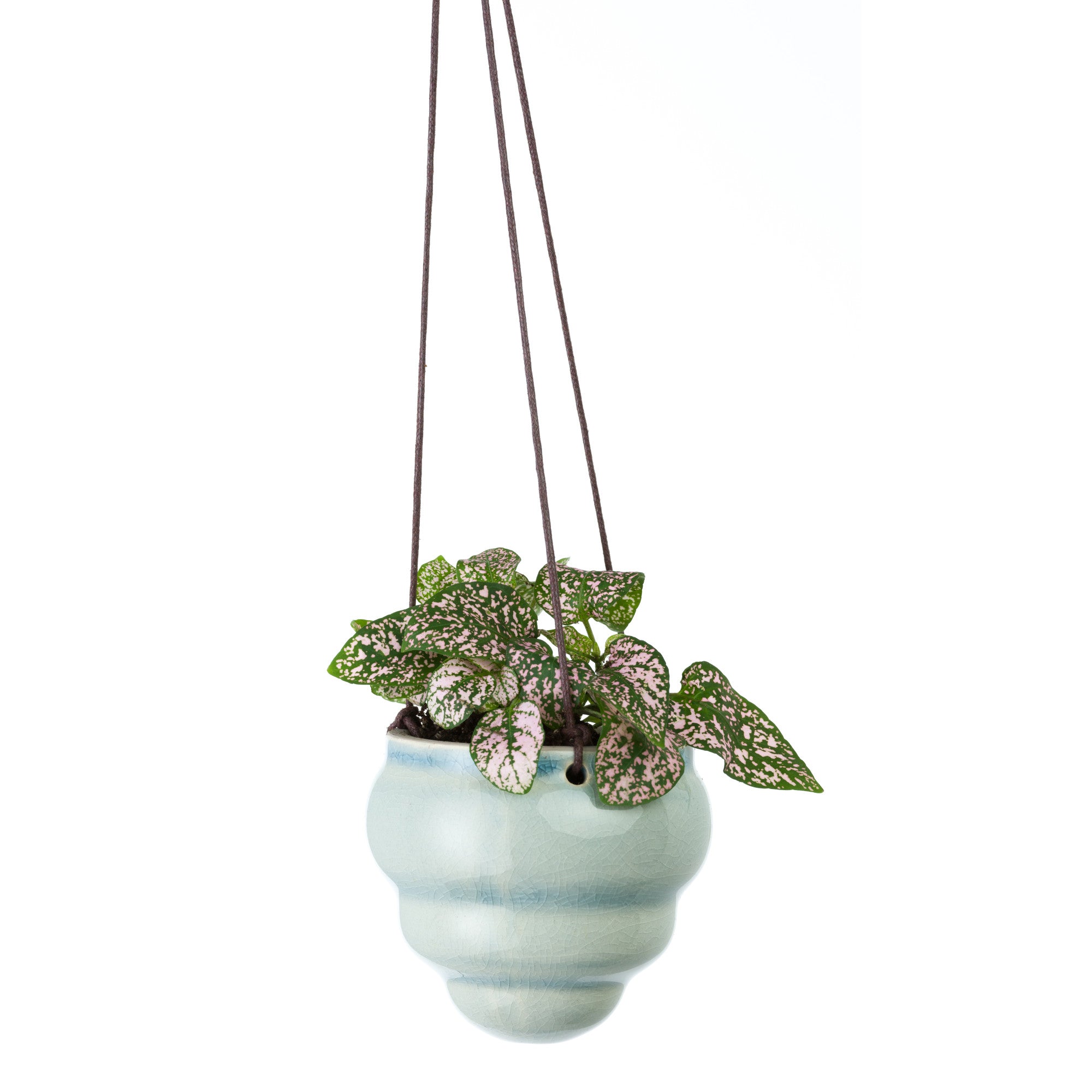 Hanging Baby Bombini Trio Vases