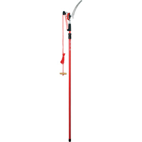 DualLINK Tree Saw and Pruner, 16 ft. Pole