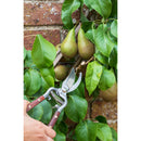 Wood Handle Bypass Pruner & Gift Box, 3/4 in. Cut Capacity-2