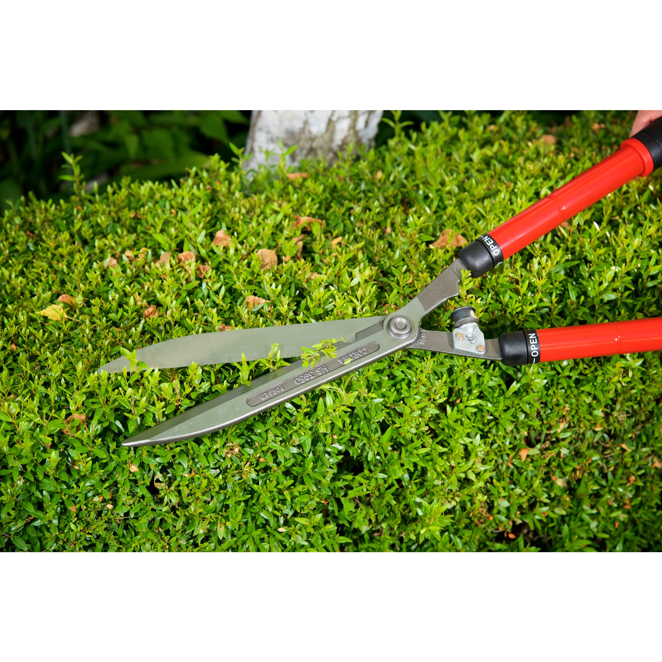 ExtendableREACH Hedge Shears, 10 in. Blades, 20 in. Steel Handles