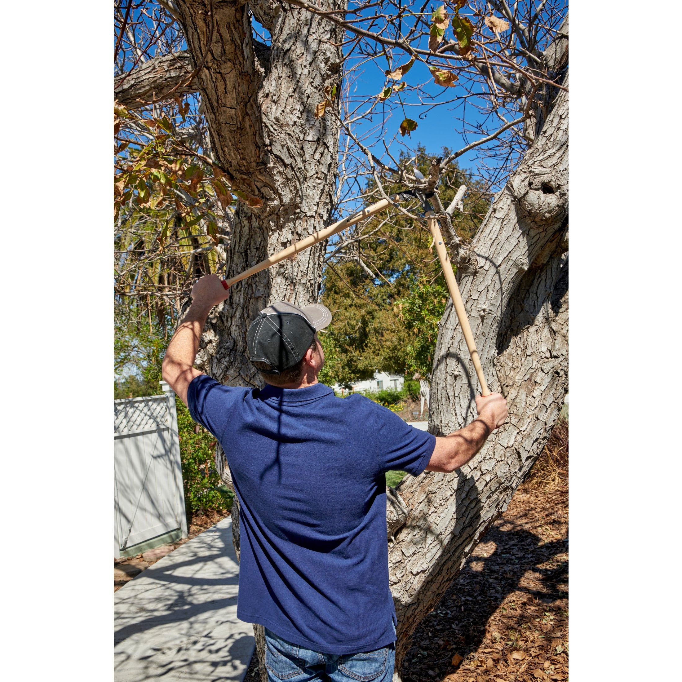 Hickory Handle ClassicCUT® Bypass Lopper, 36 in., 2-1/4 in. Cut