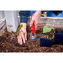 Transplanter-3