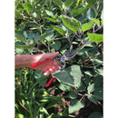 BP 3160 ClassicCUT® Bypass Pruner Bonus Pack-5