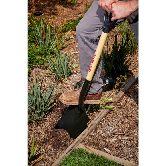 Square Point Shovel, 15-Gauge, 12. in Head, 30 in. Wood Handle, Plastic D-Grip