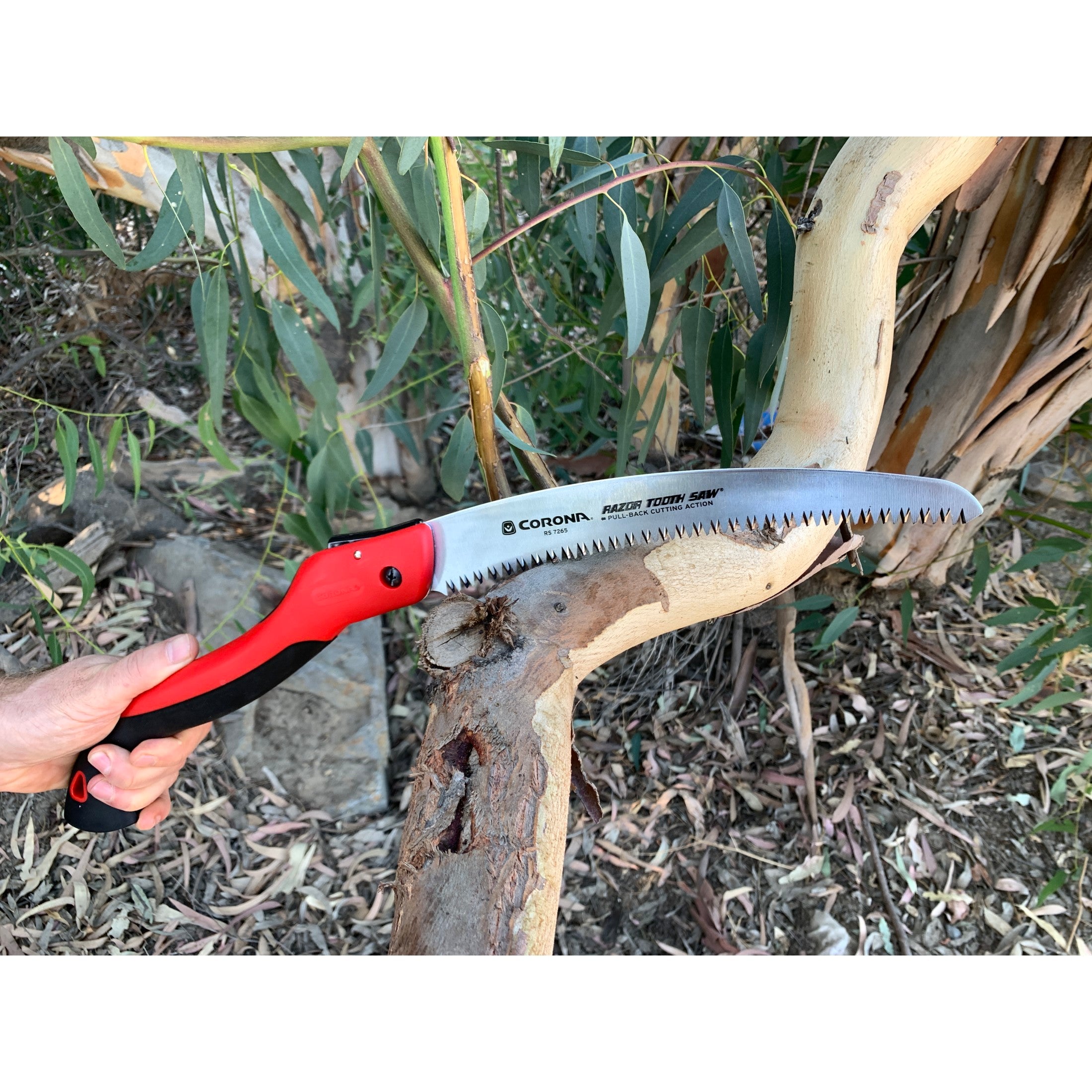 RazorTOOTH Saw™ Folding Pruning Saw, 10 in. Blade