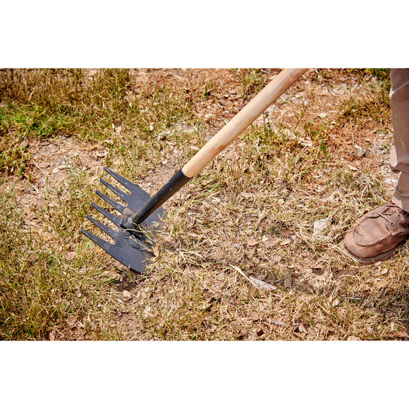 McLeod Hoe, Knocked Down