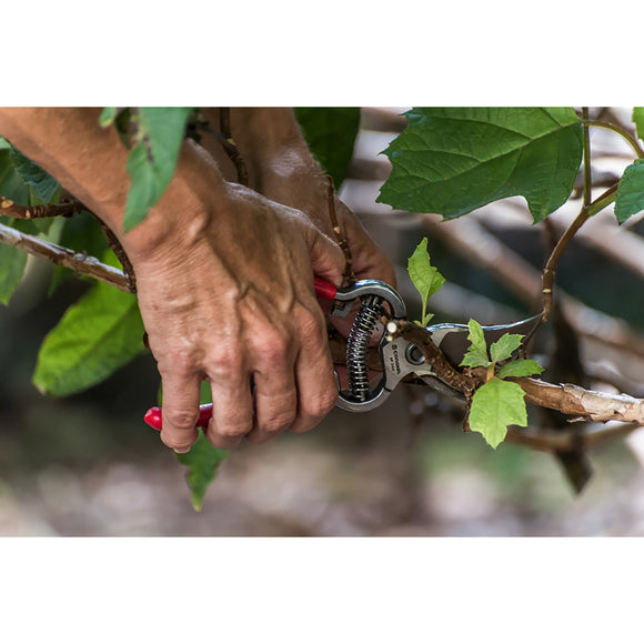 BP 3160 ClassicCUT® Bypass Pruner Bonus Pack