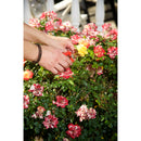 ComfortGEL® Micro Snips-4