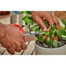 Precision Scissors-5