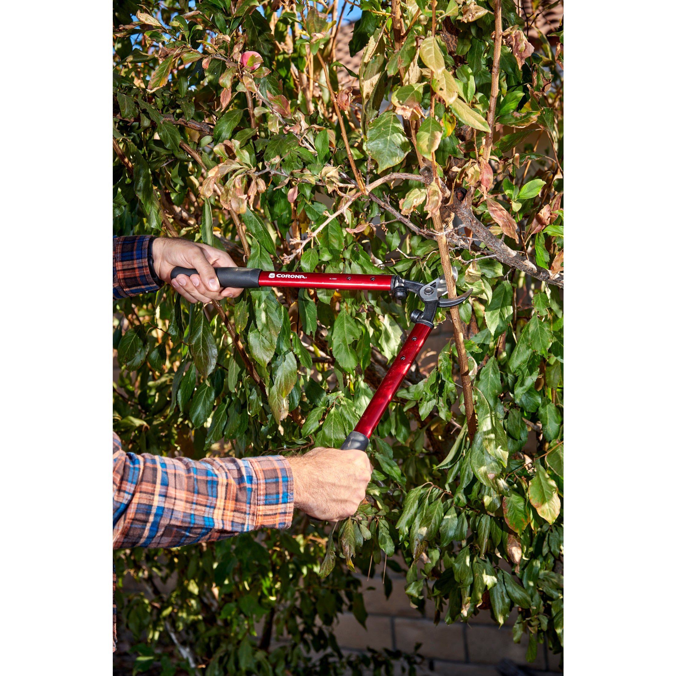 High-Performance Vine Lopper, 19 in. Handle, 1-1/4 in. Cut Capacity