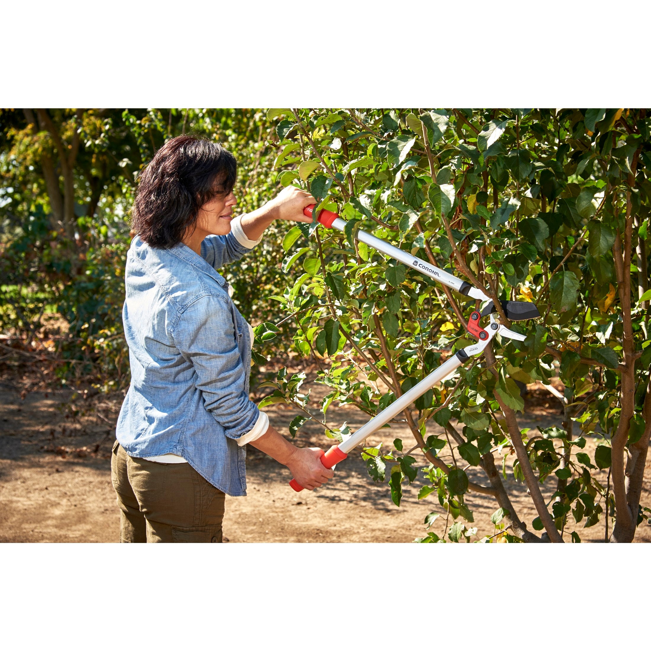 DualLINK Bypass Lopper, 1-3/4 in. Cut Capacity | Corona Clipper Inc.