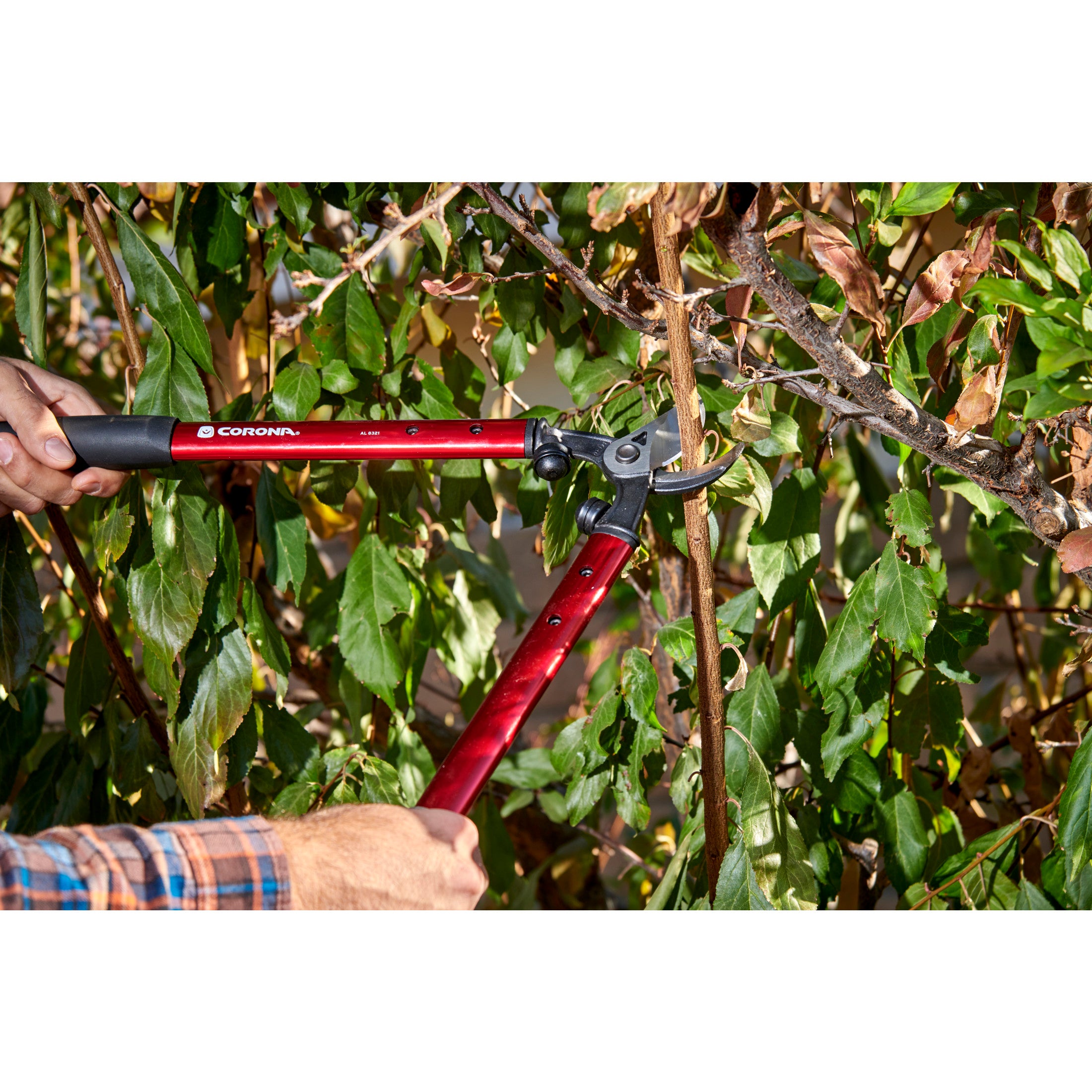 High-Performance Vine Lopper, 19 in. Handle, 1-1/4 in. Cut Capacity