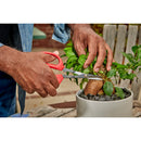 Precision Scissors-2