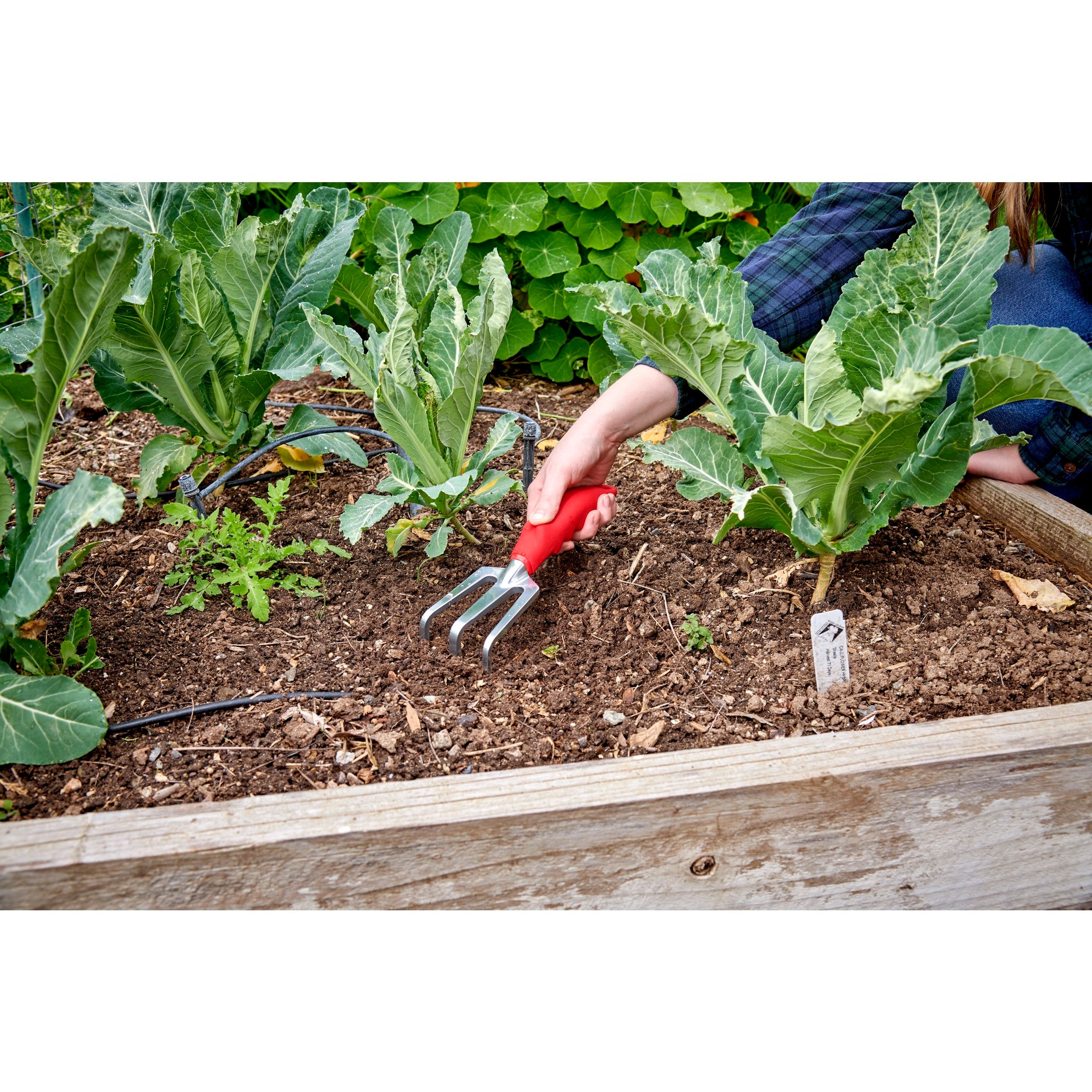 Cultivator