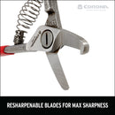 Avocado Shears-12