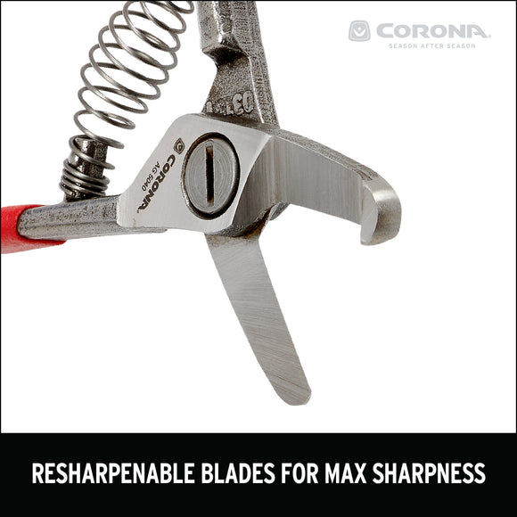 Avocado Shears